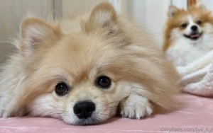 Hi thank you for many likes for my posts you always make me happy i ll part 51