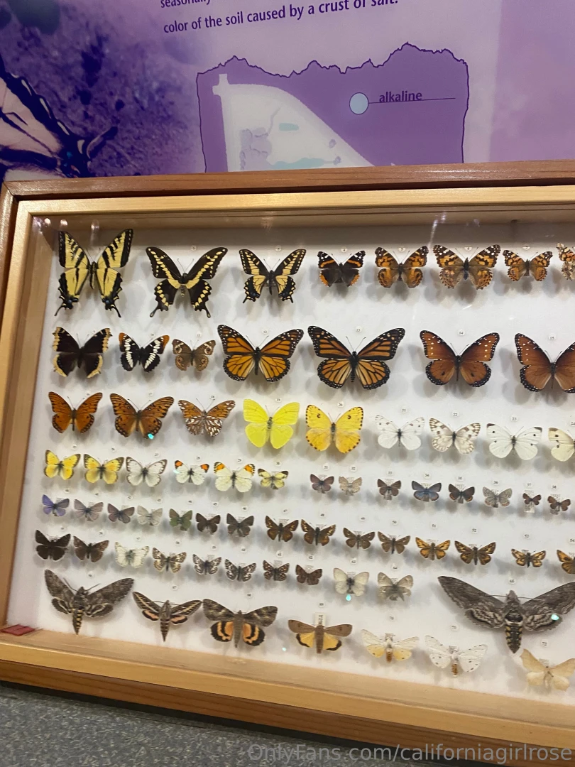 Had a wonderful day at a nature preserve part 2 