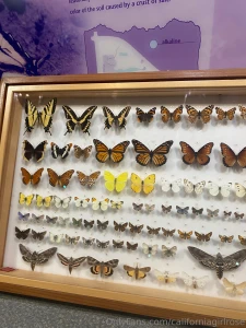 Had a wonderful day at a nature preserve part 2