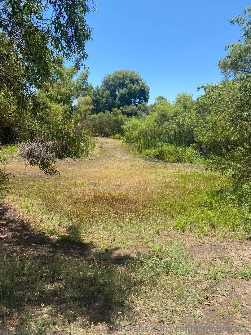 Had a wonderful day at a nature preserve part 3 