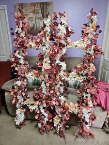 6 hours later only 66 days to go