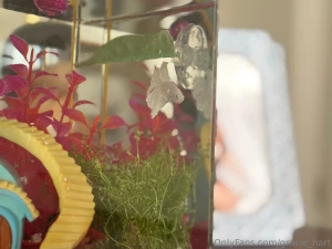 Enjoy my photos of my new fish his name is maui this fish is my last part 4