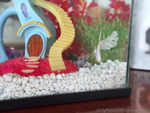 Enjoy my photos of my new fish his name is maui this fish is my last part 8