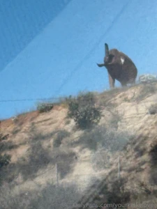 Feels amazing to be back in washington after being gone for 3 weeks part 1