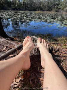 I adore a pond full of lilly pads part 1
