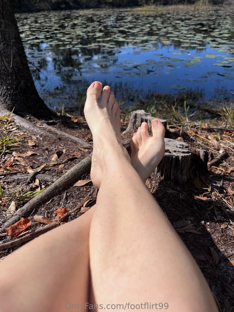 I adore a pond full of lilly pads part 2 