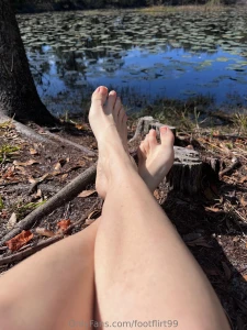I adore a pond full of lilly pads part 2