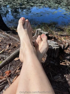 I adore a pond full of lilly pads part 3