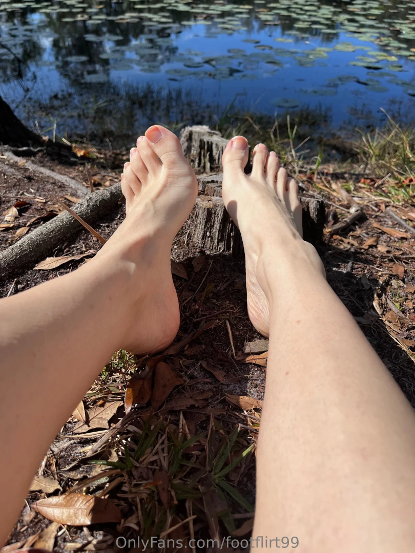 I adore a pond full of lilly pads 