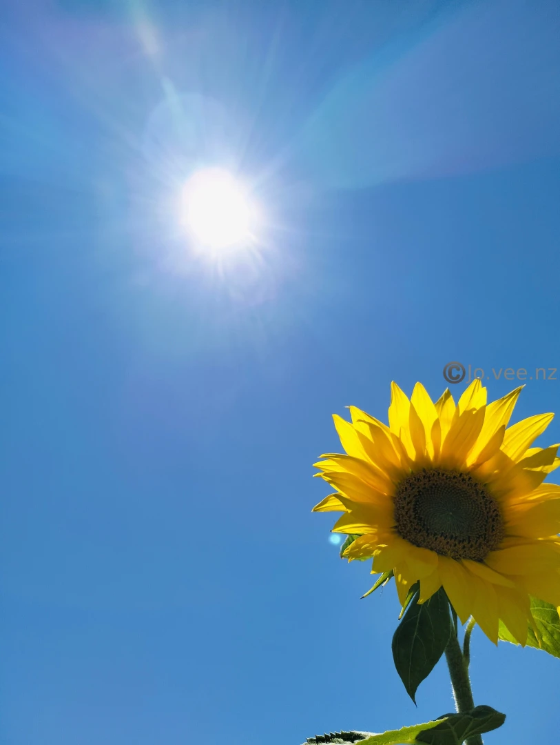 I ve been a bit sad so went out today this week is due to be hot so i 