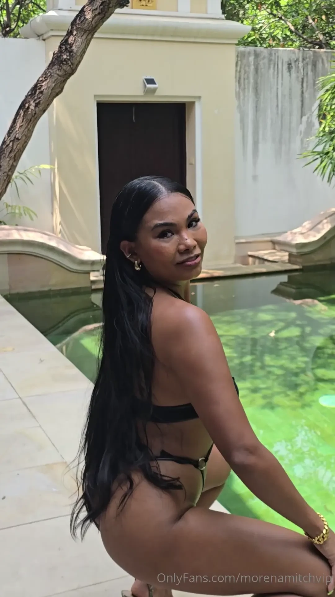 This body this mood all for you 