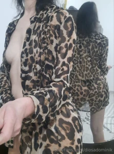 Free free free not everything is revealed in a single picture but if