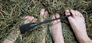 Can you guess what is our favorite hobby