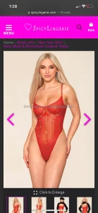 Edit the red body suit and the black bodystocking were purchased but