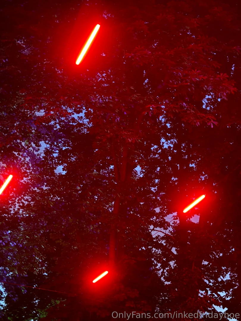 I think i m in a parallel universe when the light trees and evening 