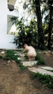 What the neighbours 2 6