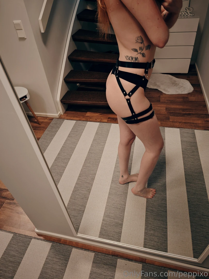 Innostuin ja nyt l ytyyki laatikosta iso kasa erilaisia valjaita pit 