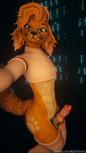 Cute fox wants you what are you waiting for c furry fox vrchat bottom