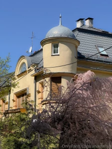 Nbsp this spring i literally chose to live life so i might often