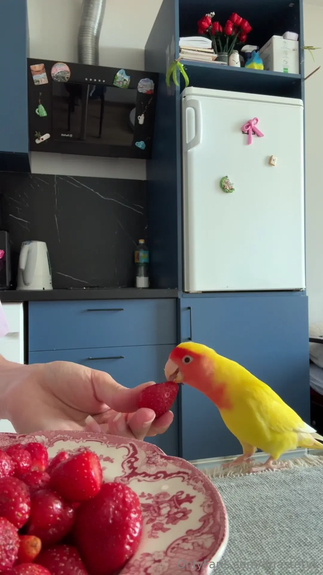 I wasn t kidding about the market 