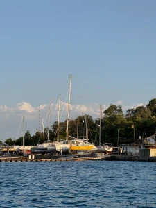 I ve loved swimming on sups for a long time but why are they so part 3