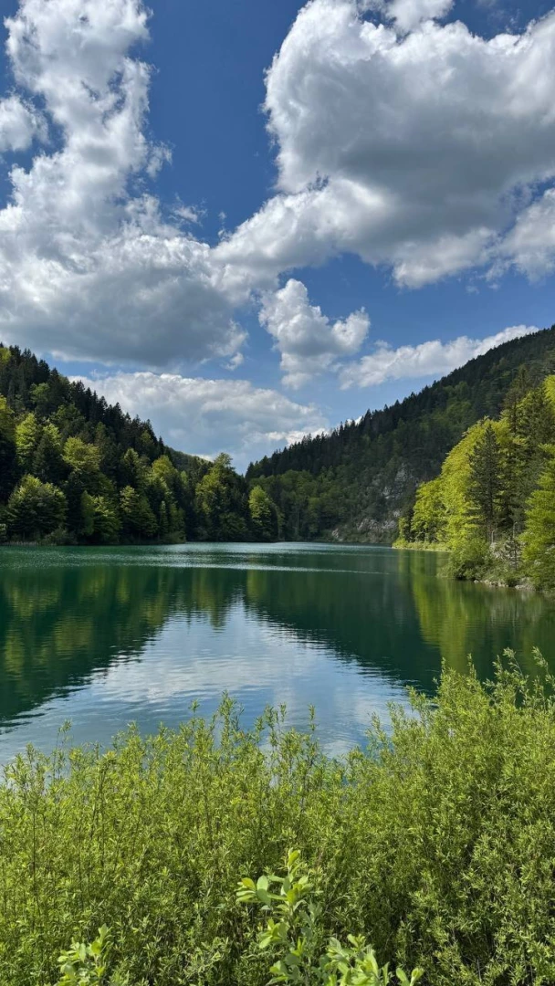 I think it s beautiful don t you 