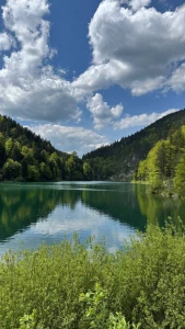 I think it s beautiful don t you