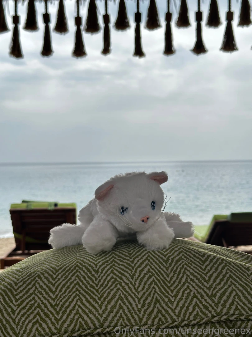 Remy came on holiday with me too everyone say hi part 1 