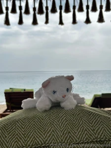 Remy came on holiday with me too everyone say hi part 1