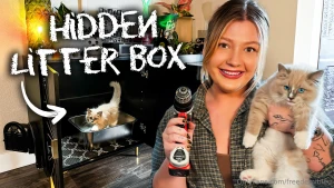 Diy hidden litter box for my kitten got a fun diy for today i m