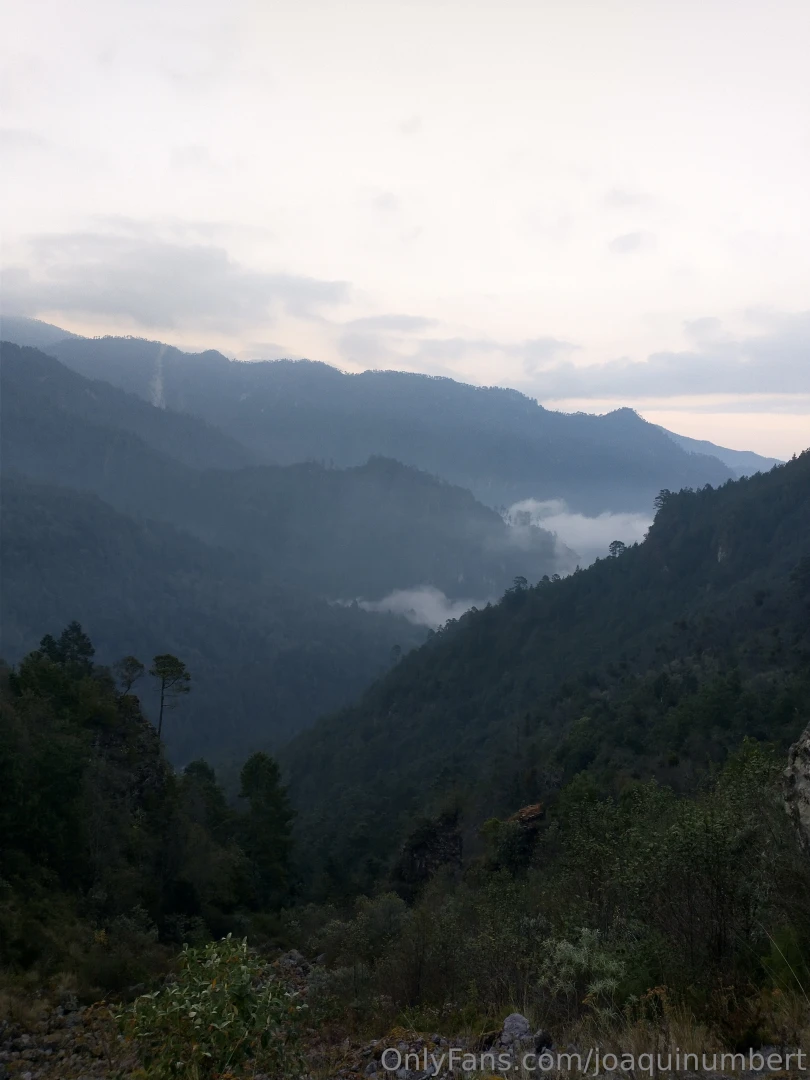 Afternoon on the trail connecting with nature part 1 