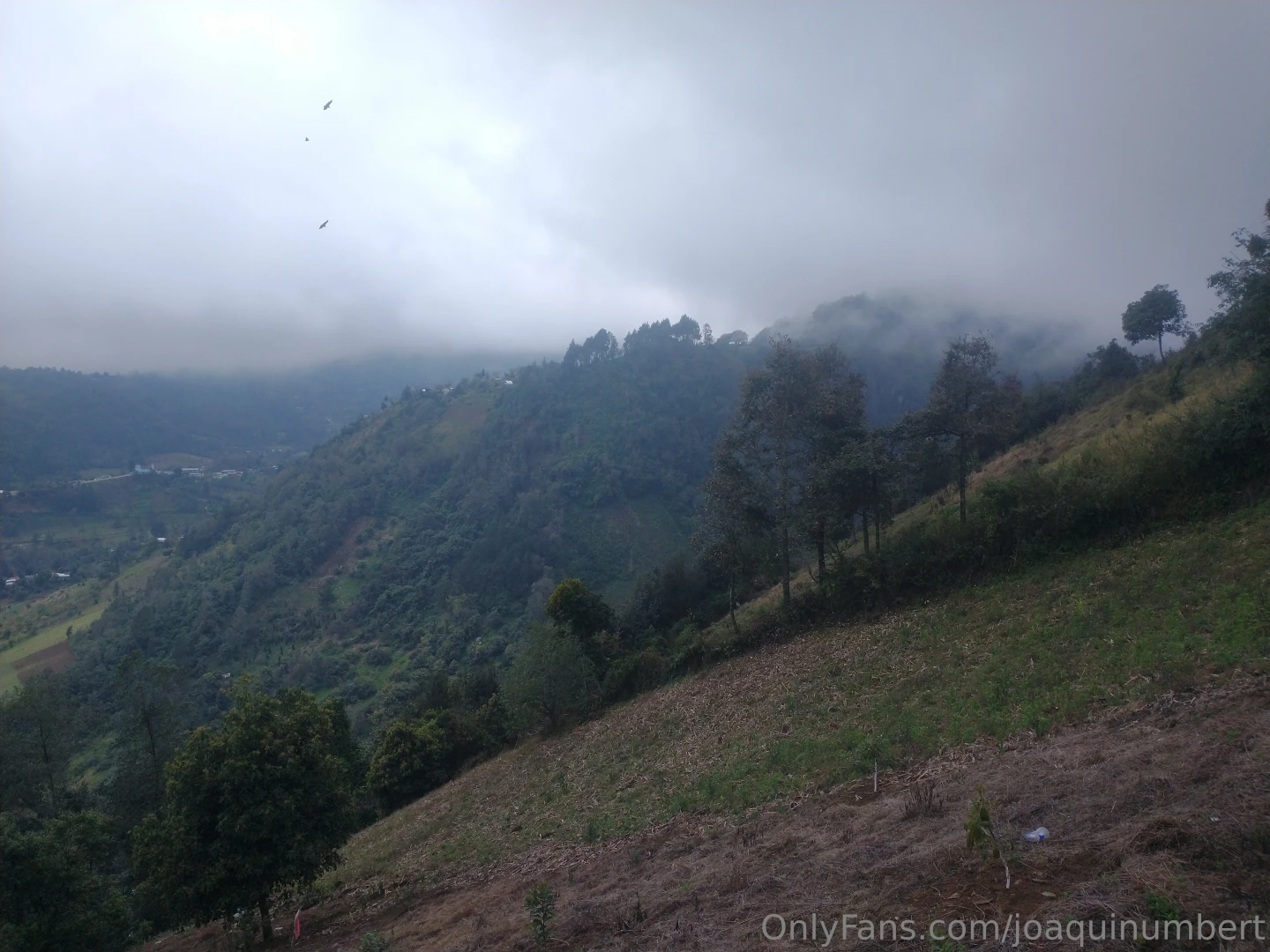 A little bit of hiking through the high mountains of mexico 