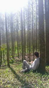 Enjoying the mexican forests