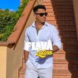latino_flava