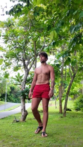 Abs secret workout eggs steak s chicken and fish vegetables avocados