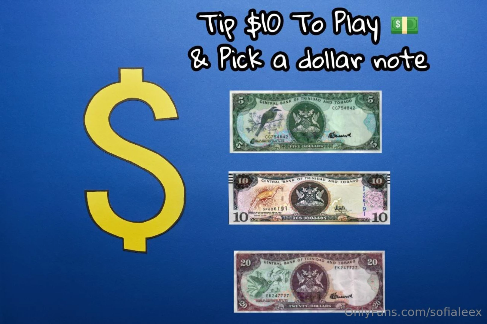 Tip 10 to play and choose a dollar on the picture above each dollar 
