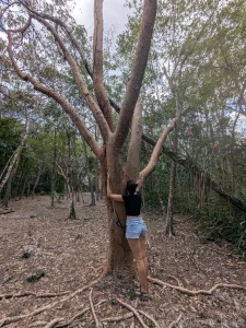 I have this thing where i have to hug the trees that i feel