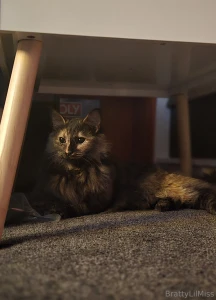 Thanks everyone as you know i was saving my of for zazzys teeth