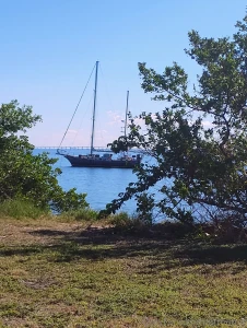 Back to fl to the atlantic coast part 2