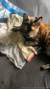 Which one you want to see me in leave your vote in comments part 1