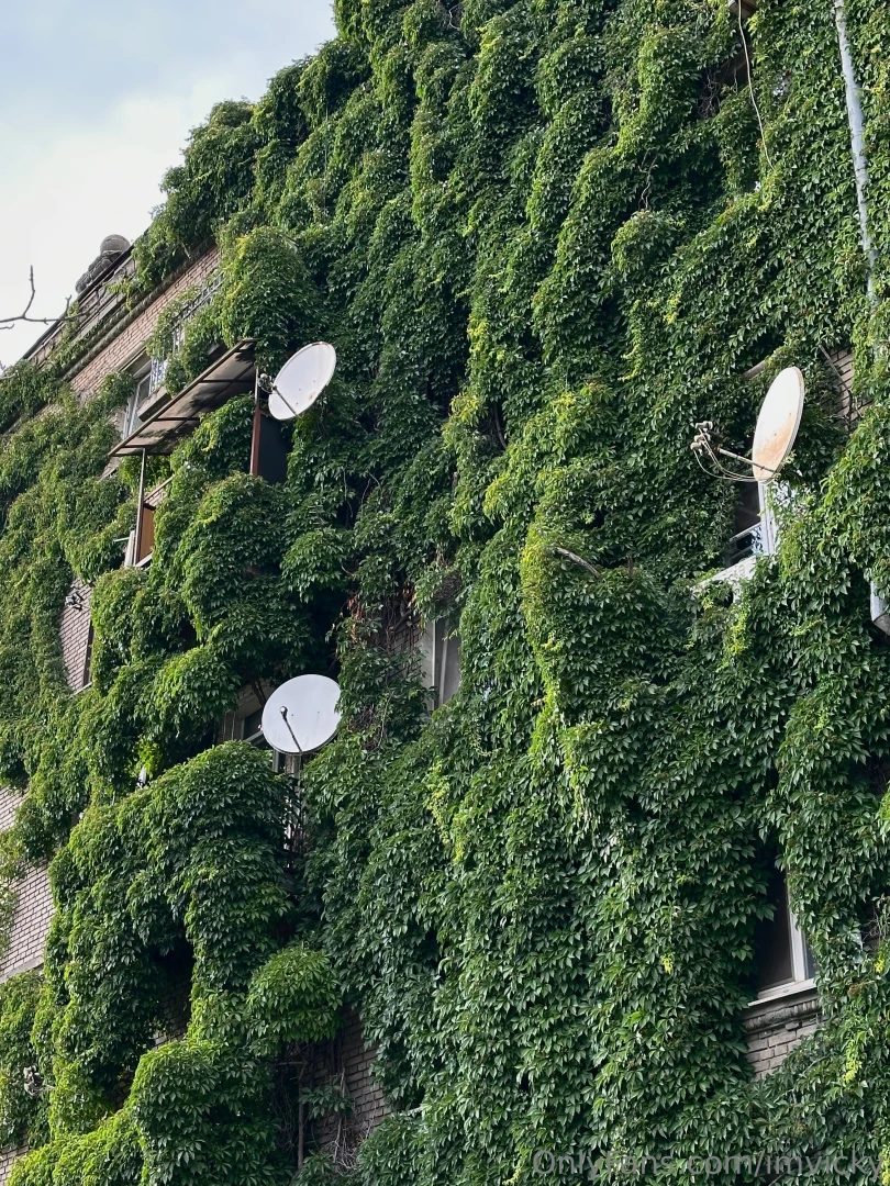 Just a bit of my weekend happy bday to me part 2 