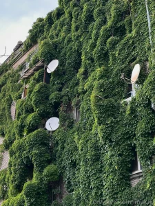 Just a bit of my weekend happy bday to me part 2