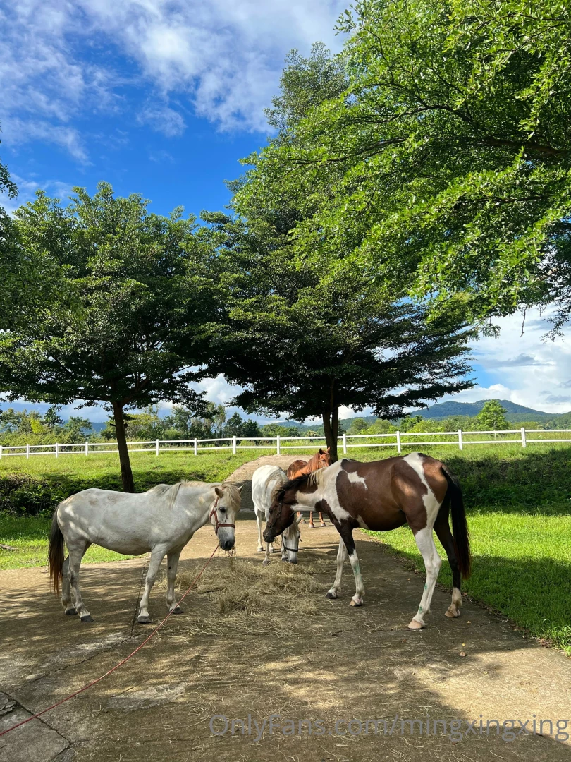 Good morning from pai thailand part 1 