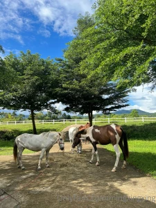 Good morning from pai thailand part 1