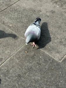 So funny story i thought i missed the bus today first stop then i part 2