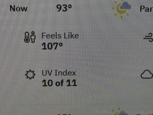 Damn this heat part 1