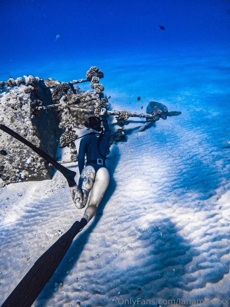 Let s play i spy with my little eye part 2 