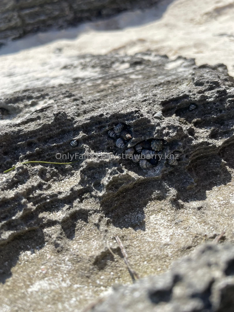 This place is amazing i am truly in paradise yesterday was a very long part 1 