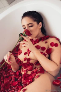 Kissed by a rose and hopefully by you next part 6