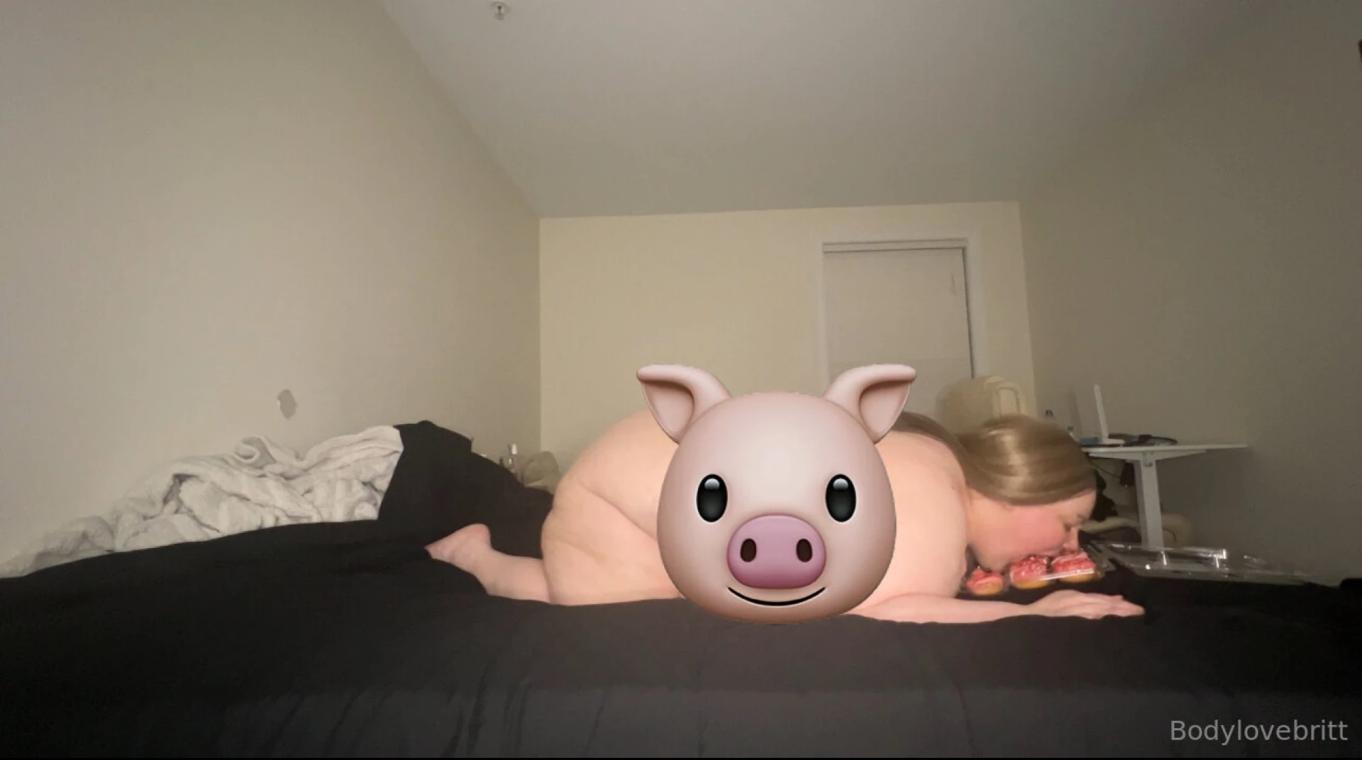 Oink facedown fatty in the trough eating mini donuts on all fours for 